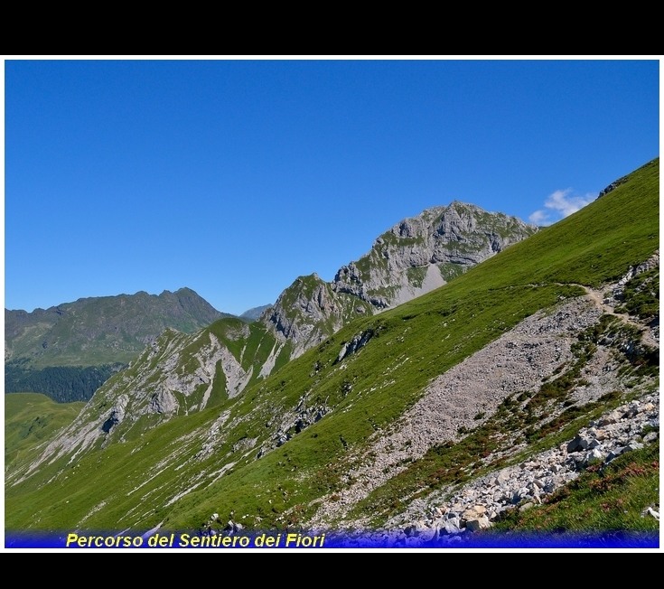 sentiero dei fiori -  percorso