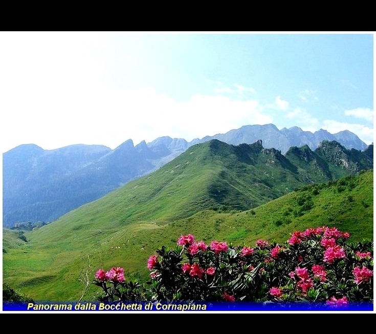 sentiero dei fiori arera panorama