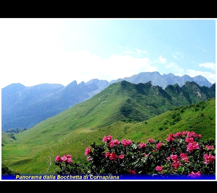 sentiero dei fiori arera panorama