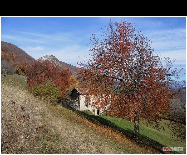 I colori dell' autunno